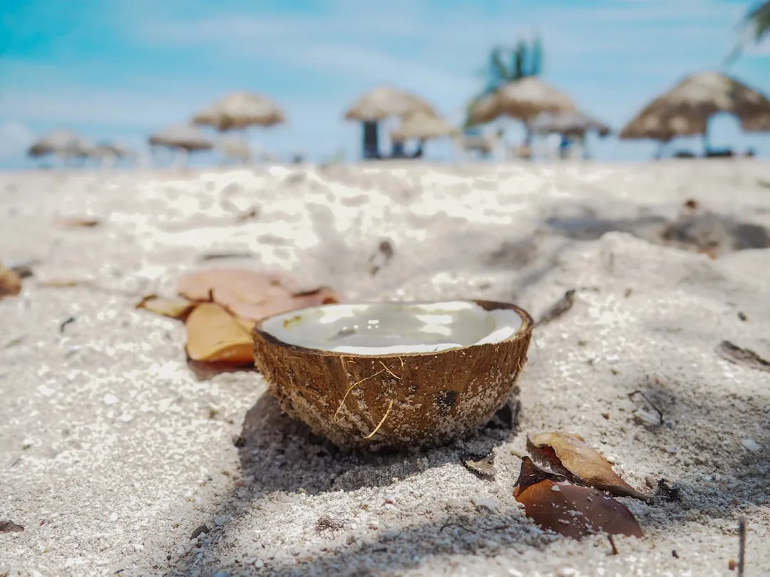 从电路图设计到样机组装:硬件产品快速落地的全流程管控要点